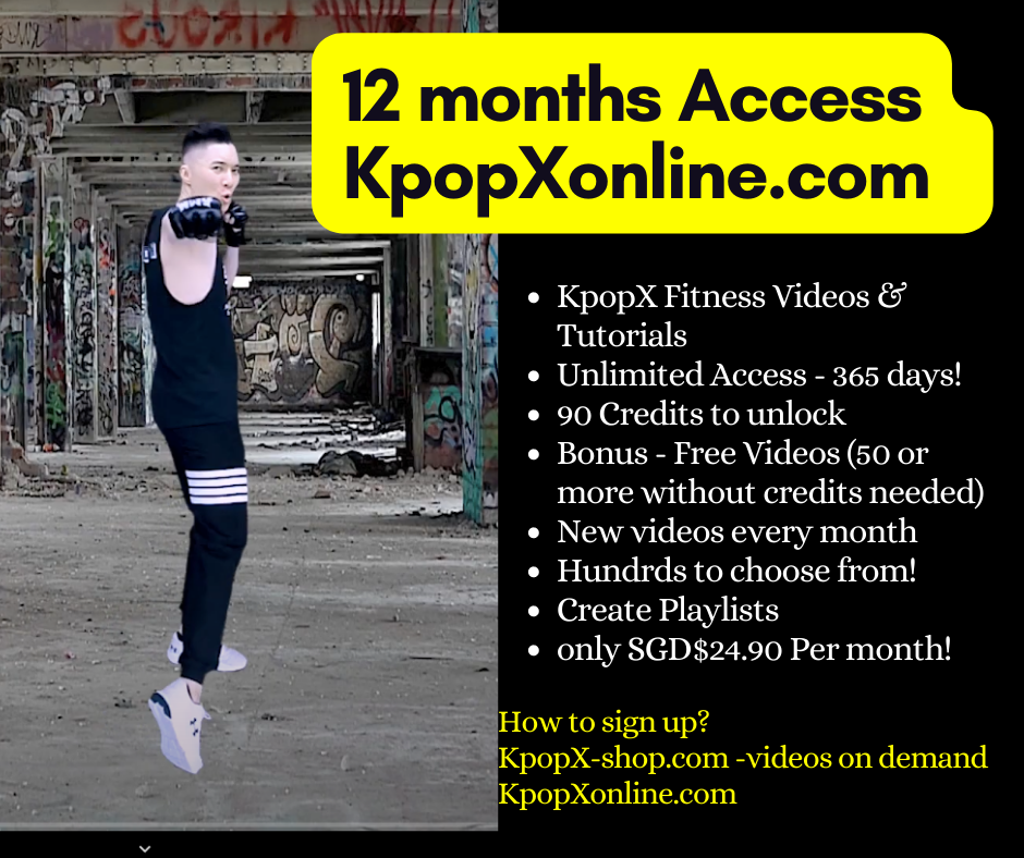 Participants' package - 12 months videos at kpopXonline.com
